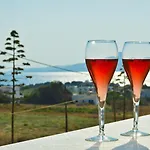Lägenhetshotell Anthi Naxos