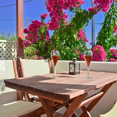 Lägenhetshotell Anthi Naxos