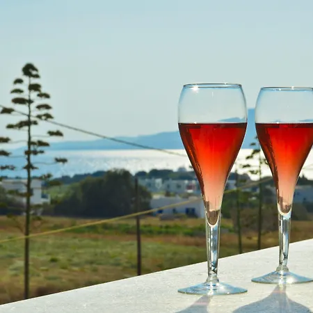 Ξενοδοχείο με διαμερίσματα Anthi Naxos