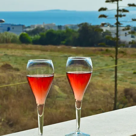 Ξενοδοχείο με διαμερίσματα Anthi Naxos