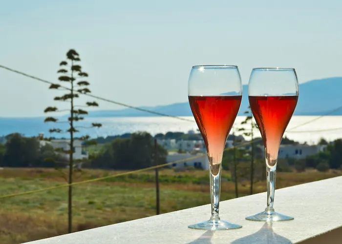 Apart-hotel Anthi Naxos